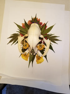 "Pussy Bone" Reveal: 2020 Botanical Mandala Art Collection