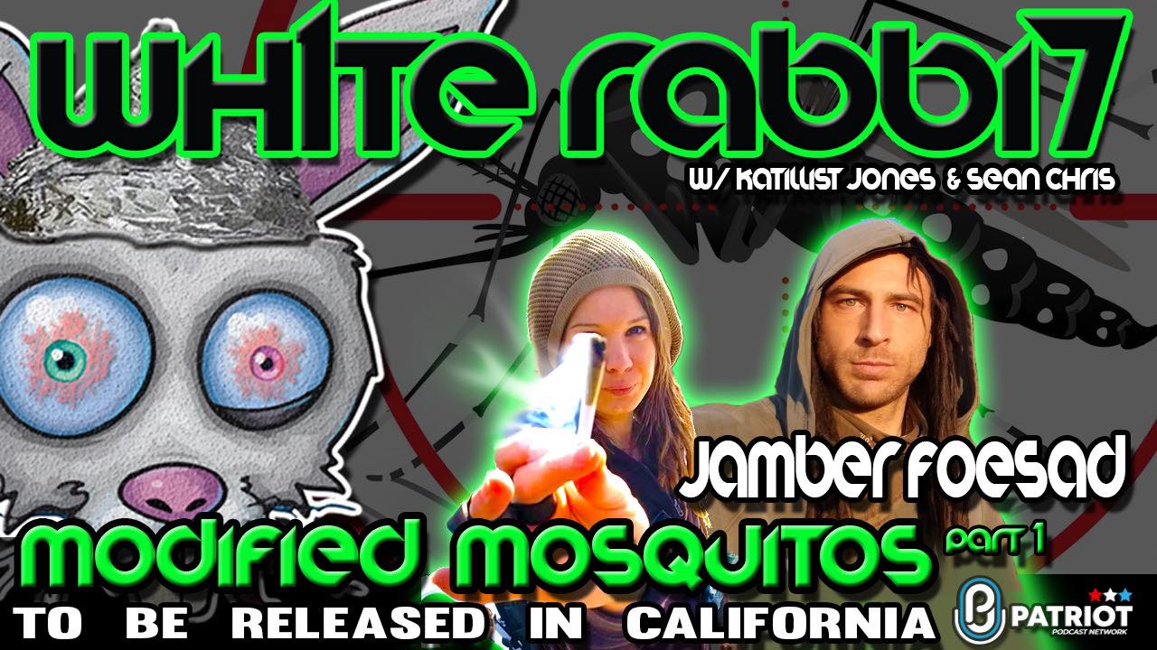 White Rabbit Podcast Guest Appearance Part 1 with Katillist Jones & Shean Chris