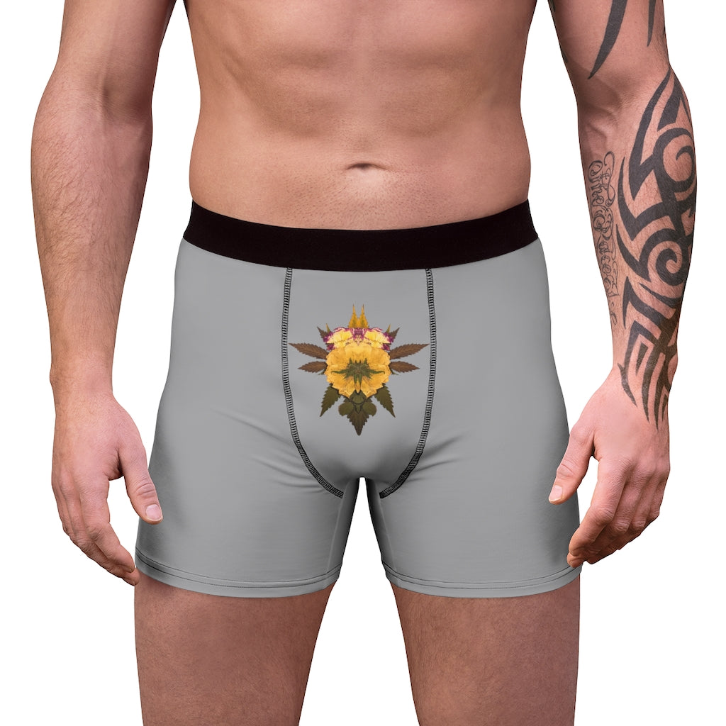 Penetration (Greytful) Men's Boxer Briefs